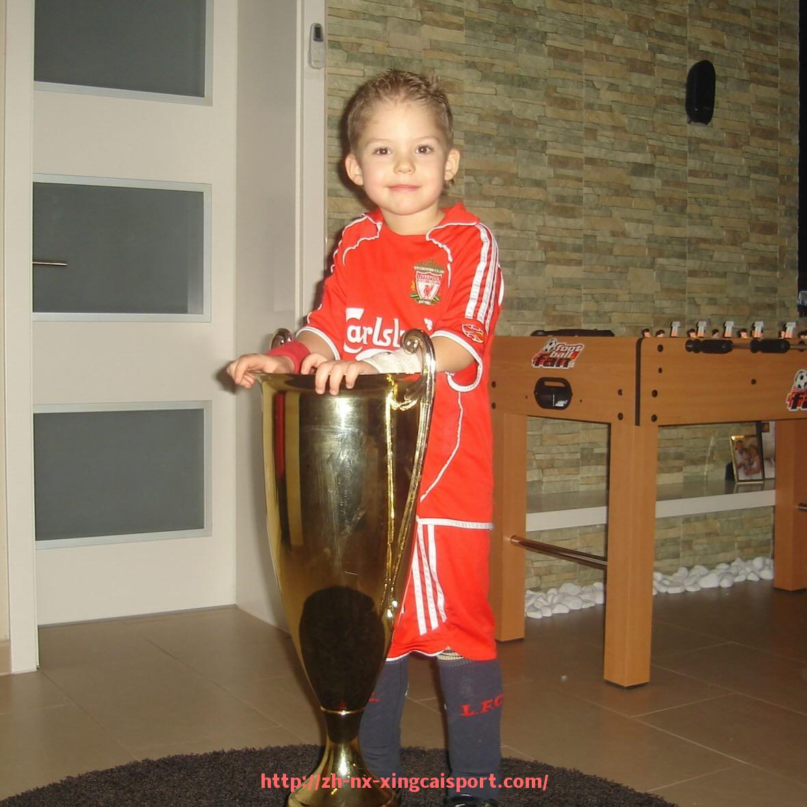 杏彩体育-目前意甲共有多少支球队及各队基本情况