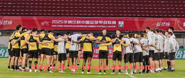杏彩体育-武汉光谷对阵德甲球队的友谊赛回顾