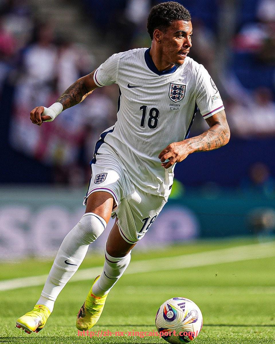 杏彩体育-英超罂粟花球衣背后的历史与纪念意义详解