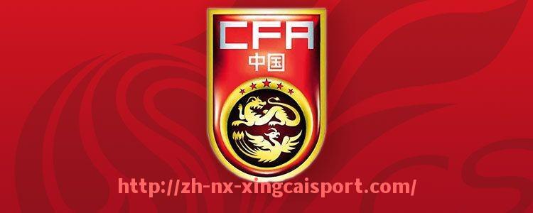 杏彩体育-火箭队中国球迷群体的发展现状与支持热情盘点