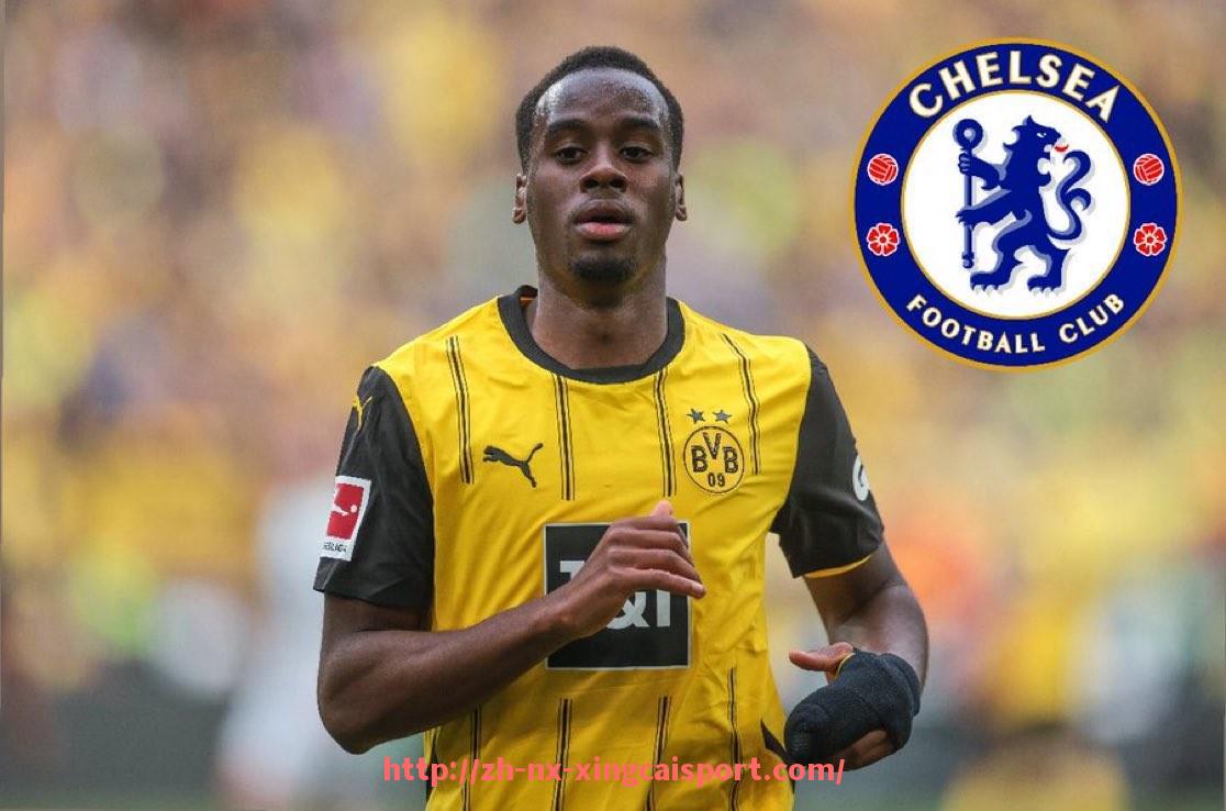 杏彩体育-世俱杯商业合作风险评估模型及实际应用案例